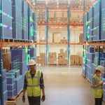 Where to Find the Best Vegan Burgers in India